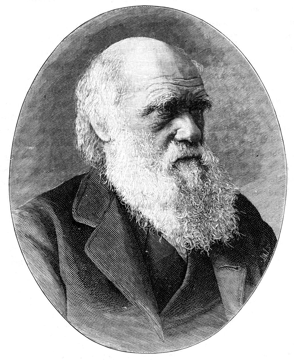 Charles Darwin, englischer Naturforscher des 19. Jahrhunderts, 1900 von Elliott and Fry