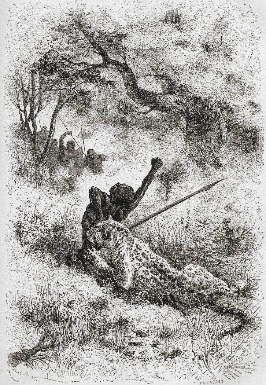 Ein Leopard greift einen Afrikaner an, Illustration aus 