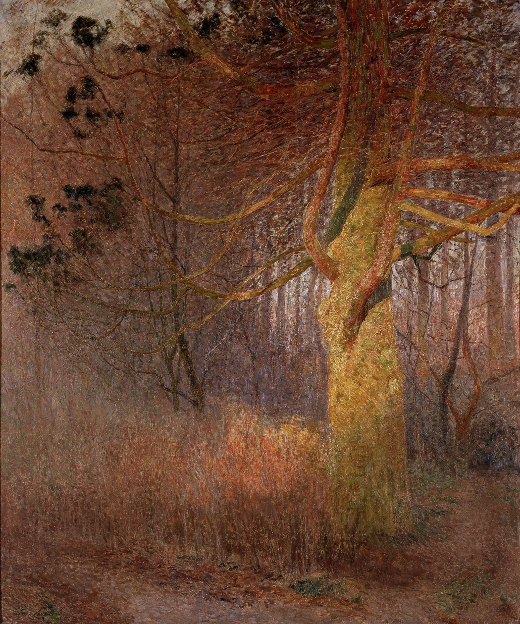 Baum in der Sonne von Emile Claus
