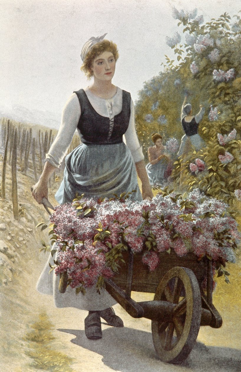 Die Blumenlese von Emile Millochau