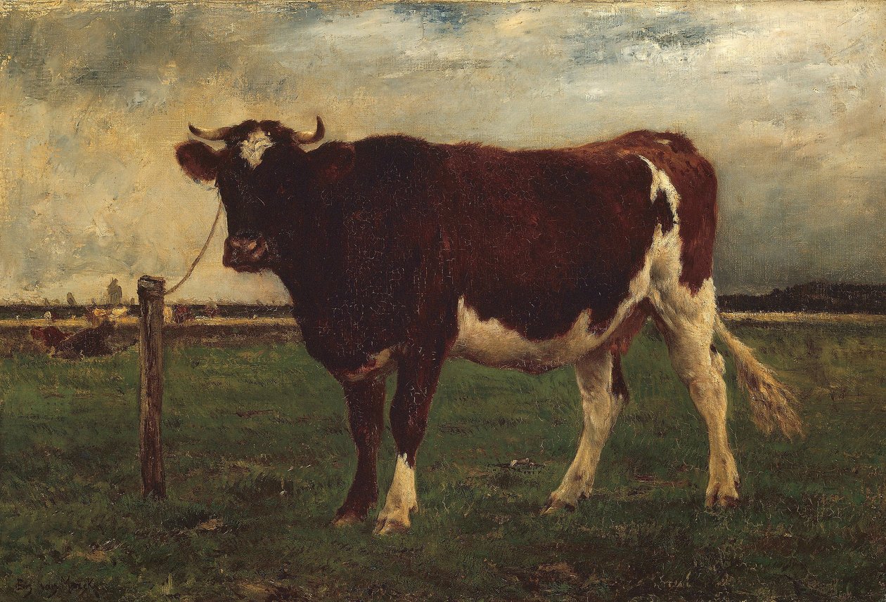 Studie einer Kuh, 1870-90 von Emile van Marcke de Lummen