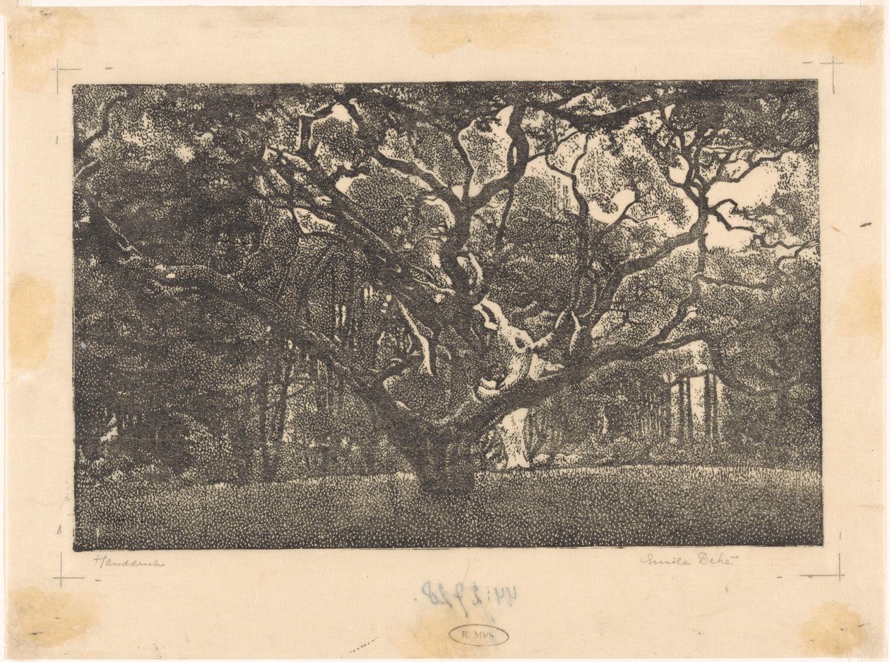 Wald in Bergen von Emilius Wilhelmus Dehé (signed by artist)