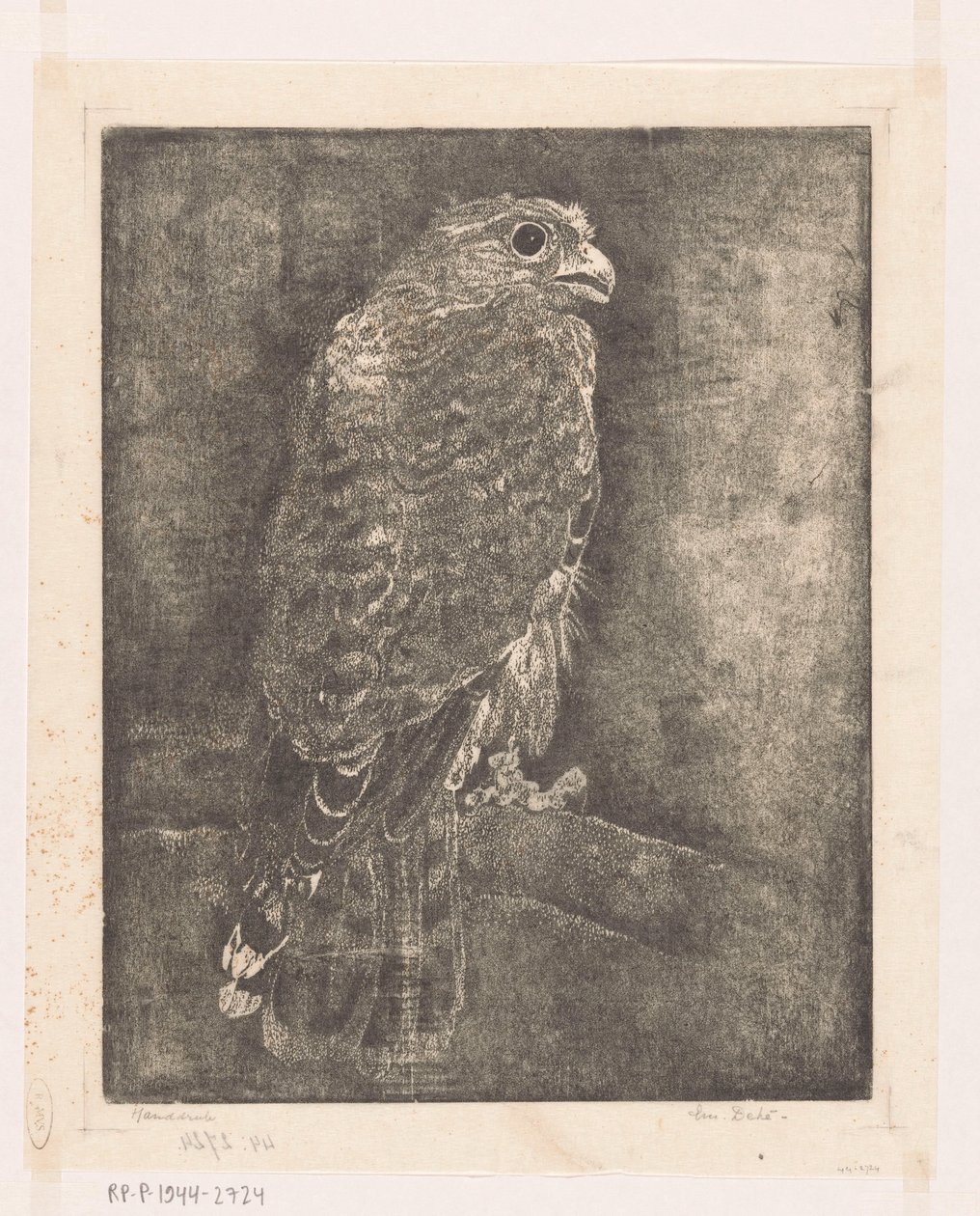 Falke auf einem Ast von Emilius Wilhelmus Dehé (signed by artist)