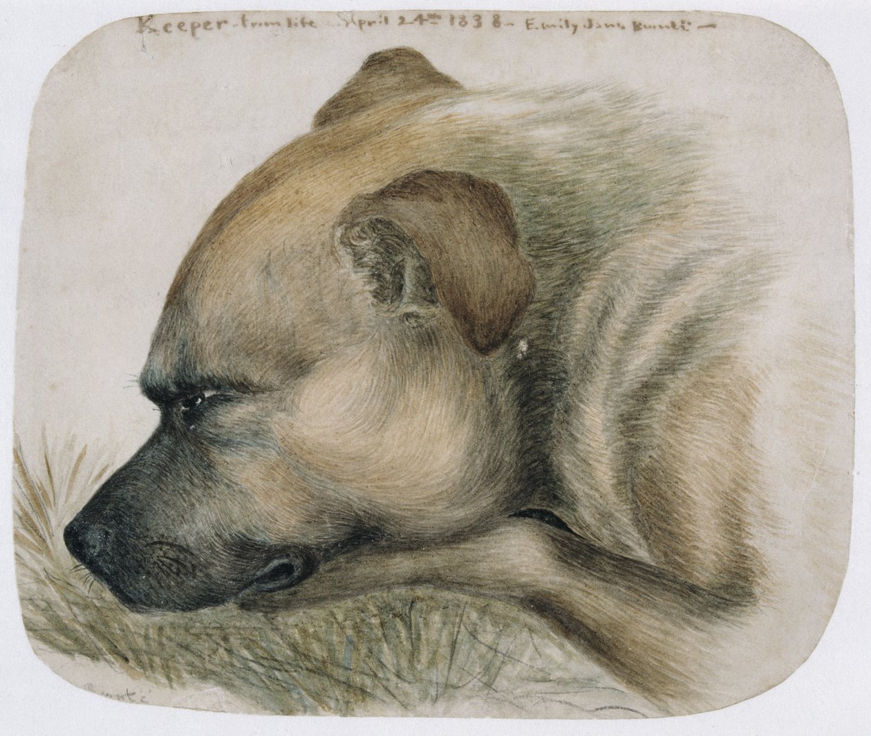 Wächter - aus dem Leben, 1838 von Emily Bronte
