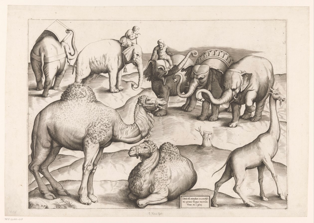 Acht Tiere von Enea Vico (attributed to)