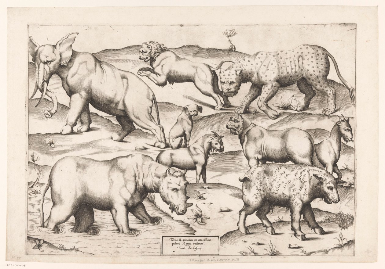 Neun Tiere von Enea Vico (attributed to)