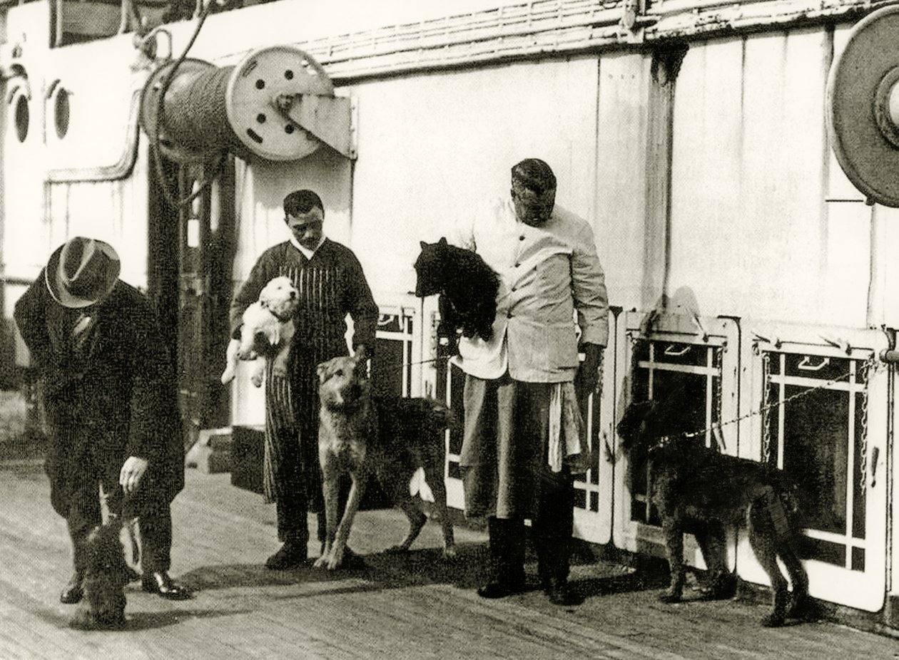 Hunde, die von Mitgliedern der Titanic-Besatzung betreut werden, 1912 von English Photographer