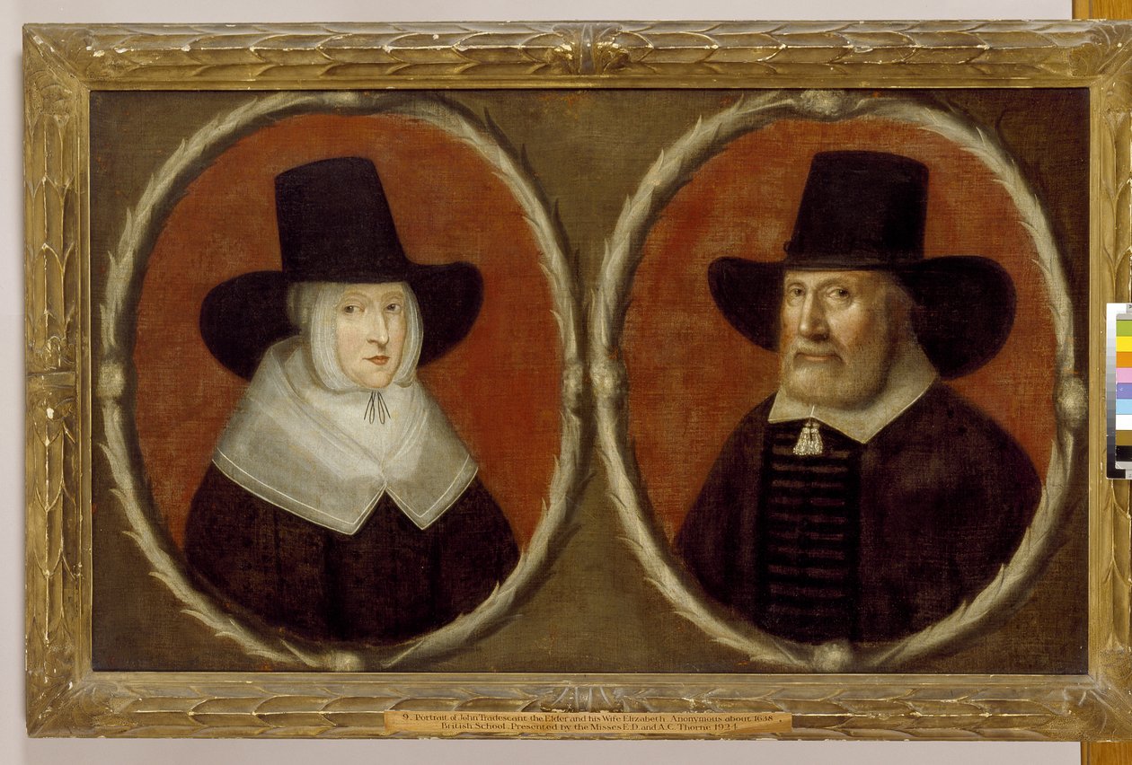 John Tradescant der Ältere und seine Frau Elizabeth, 1656 von English School
