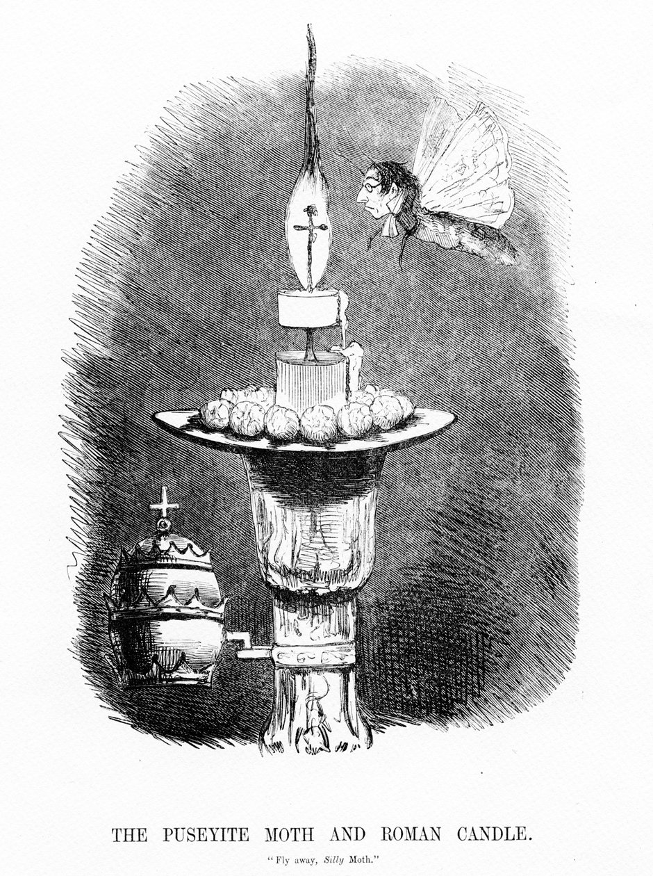 Die Puseyite-Motte und die römische Kerze, Illustration aus 