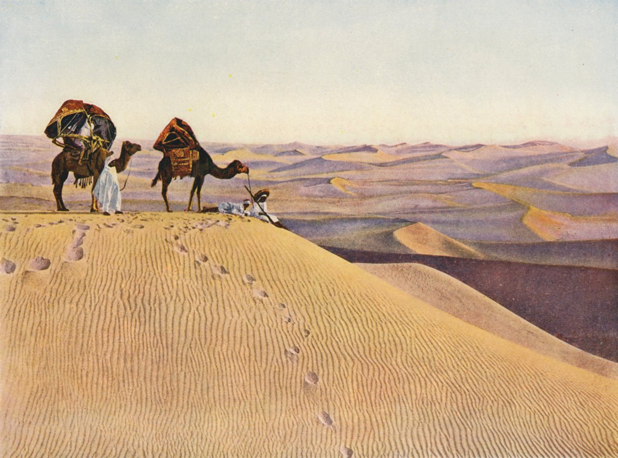 Kamele in der Sahara von English Photographer