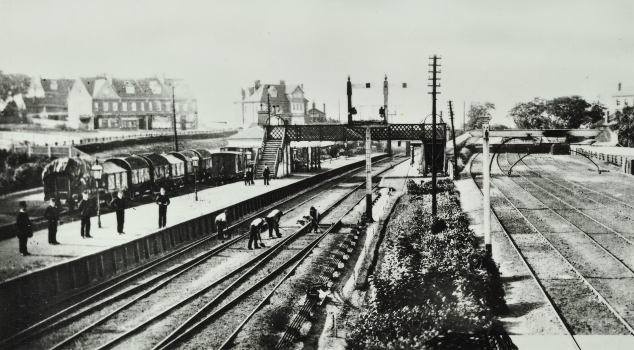 Grove Park Station: Außenansicht und Bahnsteige, 1888 von English Photographer