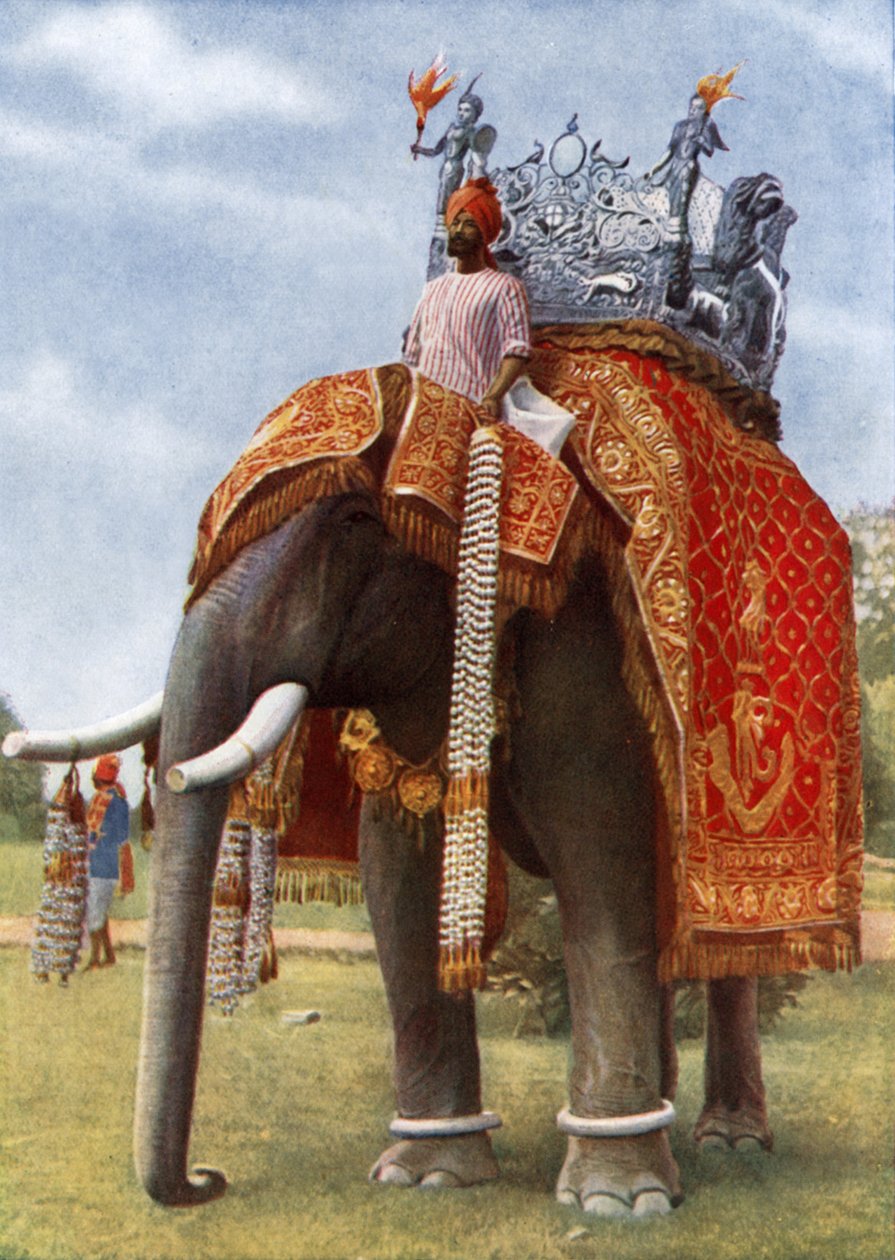 Uraltes Indien: Seine Farben & Magie von English Photographer