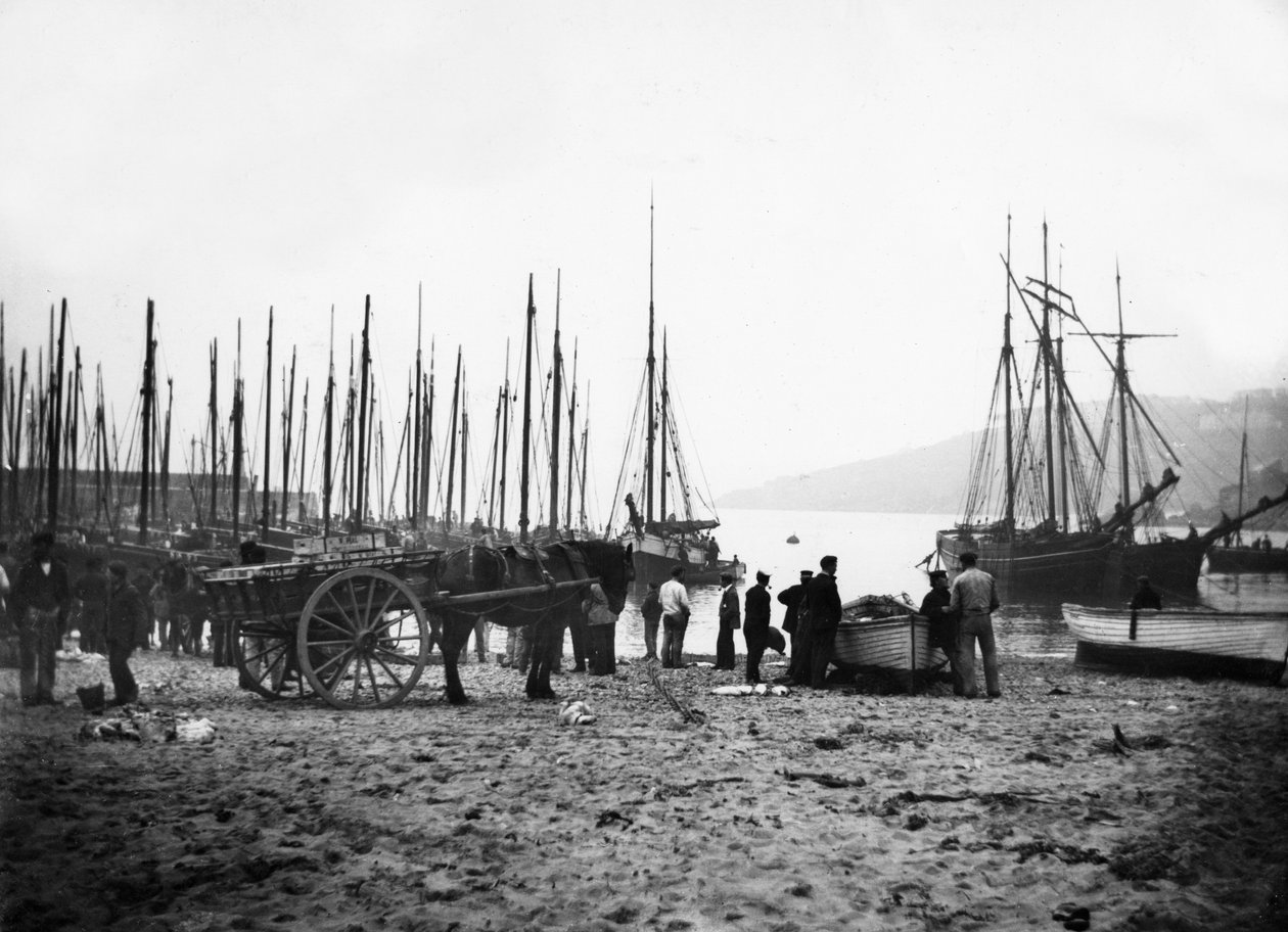Hafen von St Ives in Richtung Carbis Bay, um 1880-99 von English Photographer