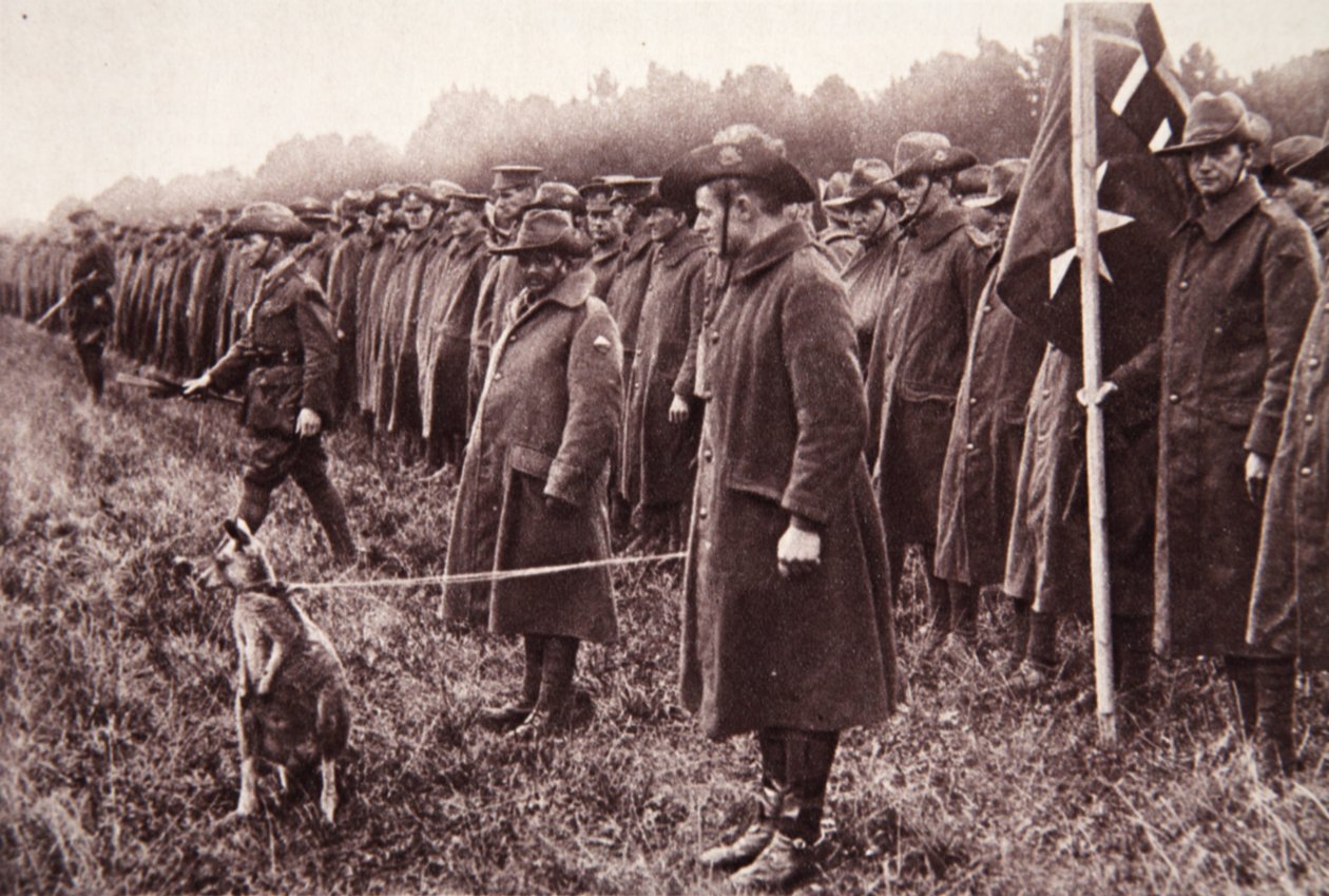 Die Anzac-Überprüfung auf der Salisbury-Ebene: ein australisches Maskottchen, Illustration aus The Illustrated War News, 27. September 1916 von English Photographer