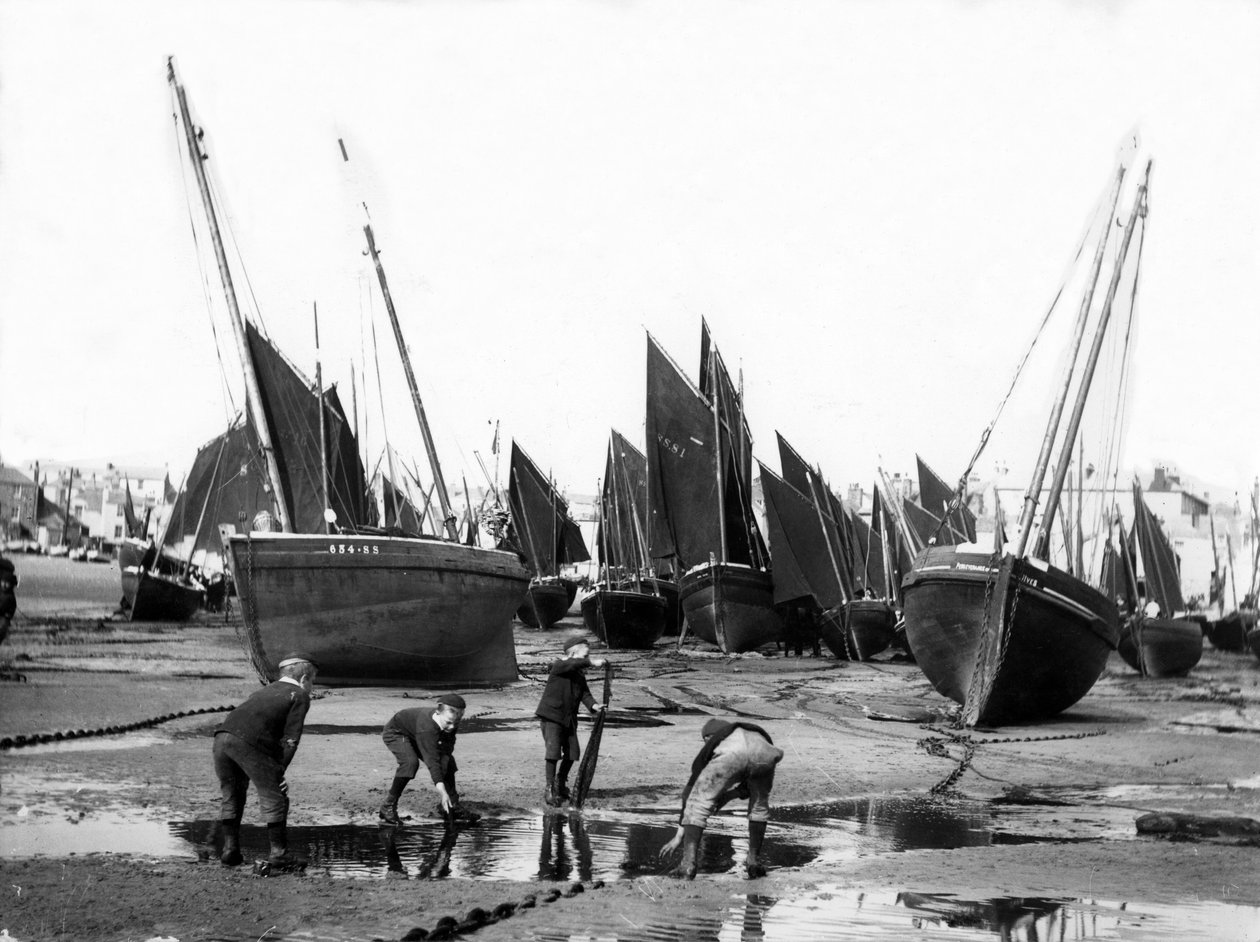 Die Fischereiflotte im Hafen von St Ives, um 1880-99 von English Photographer