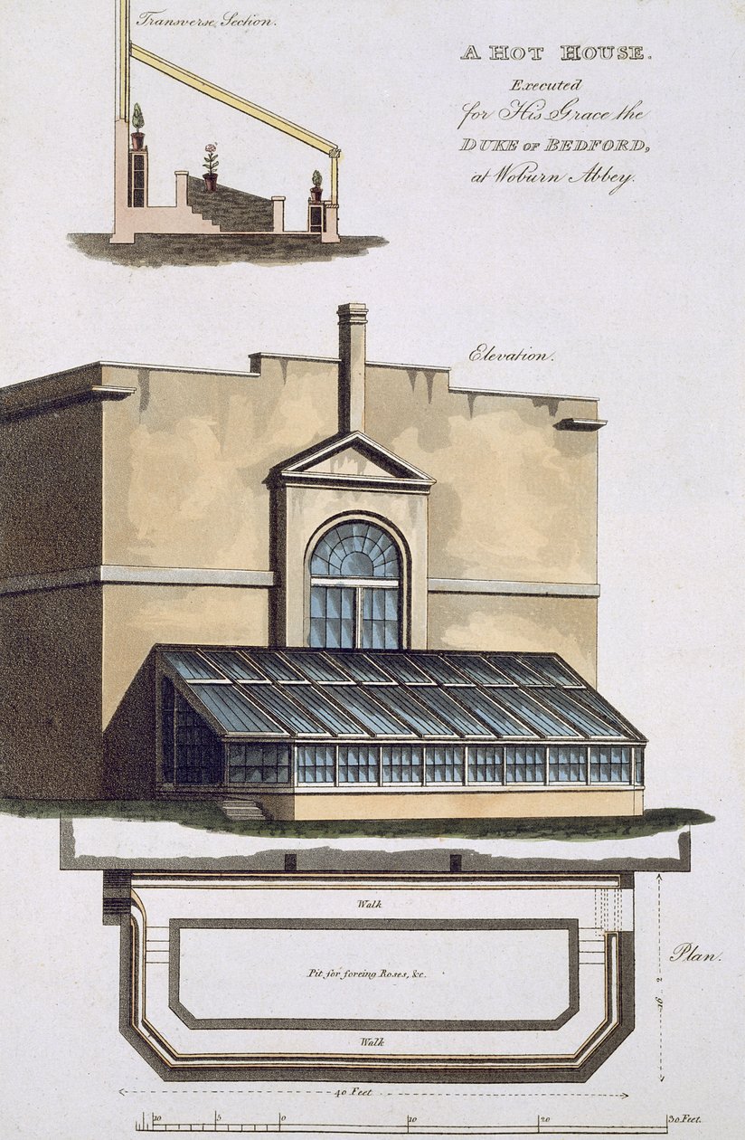 Ein Treibhaus, ausgeführt für seine Gnaden den Herzog von Bedford in Woburn Abbey, 1806 von English School