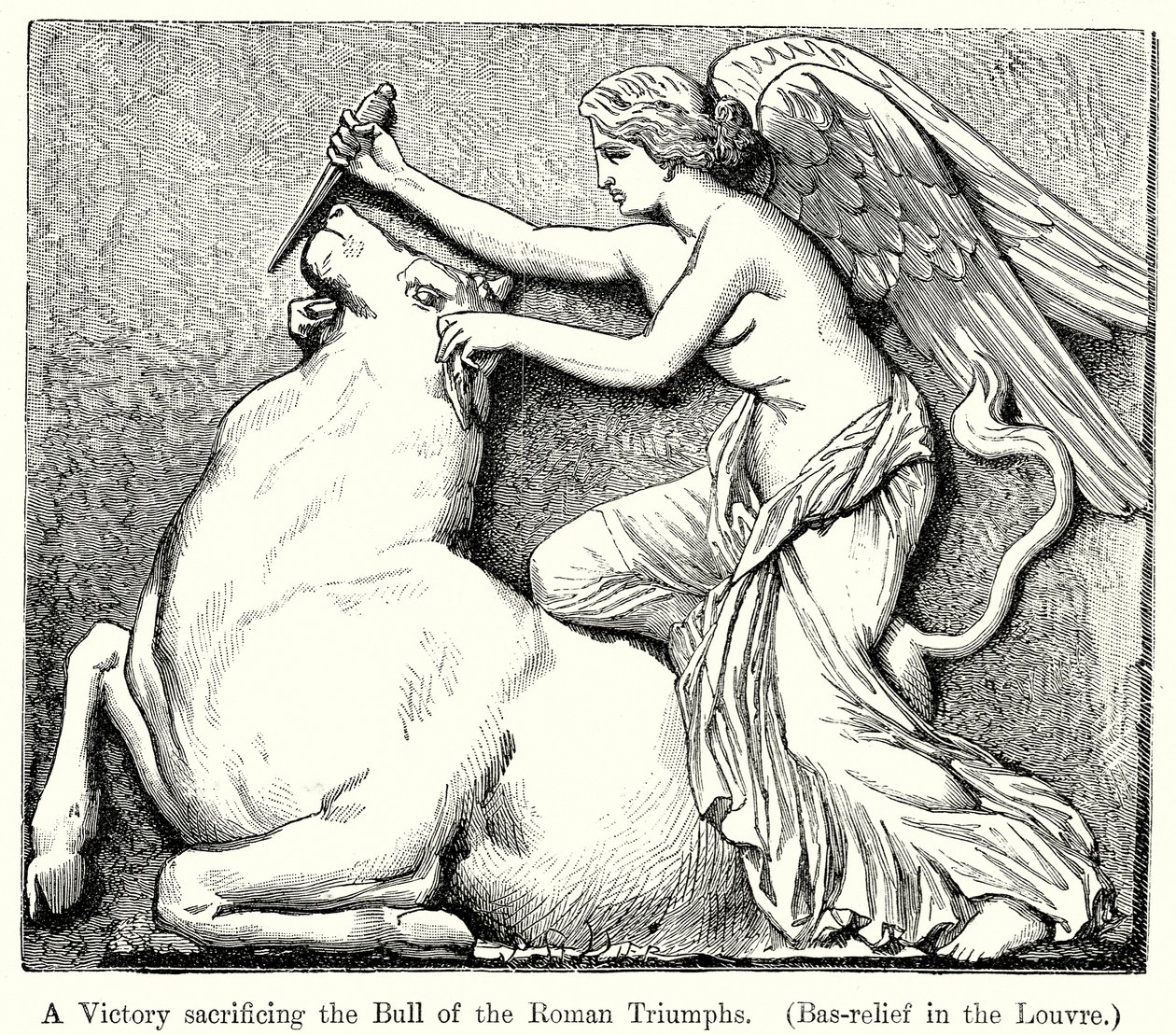 Eine Siegesgöttin opfert den Stier der römischen Triumphe (Basrelief im Louvre) (Gravur) von English School