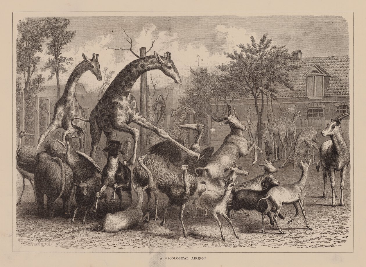 Ein "Zoologischer Ausflug" von English School