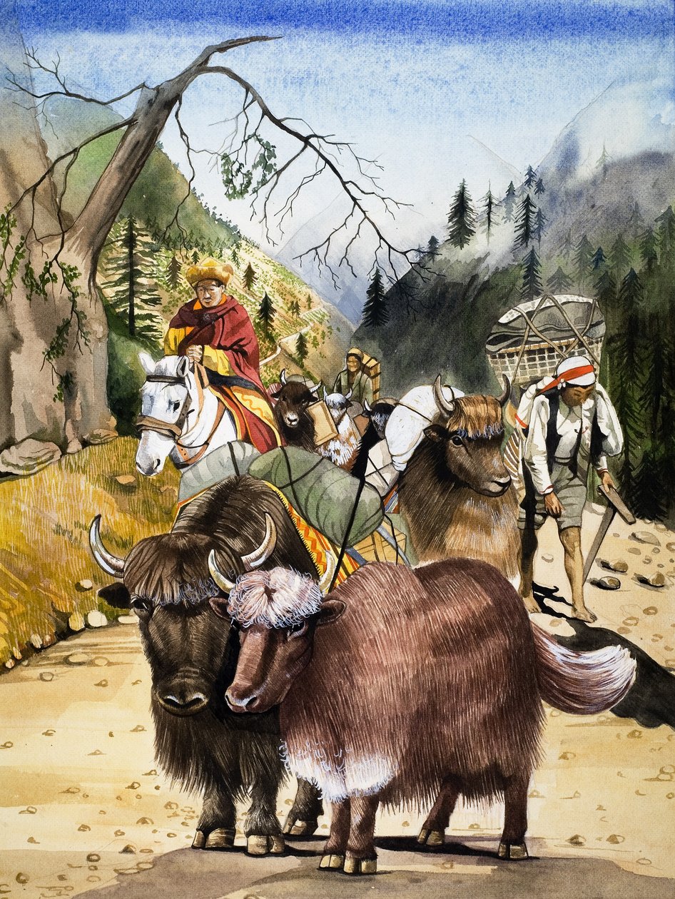 Lasttiere, Illustration aus 