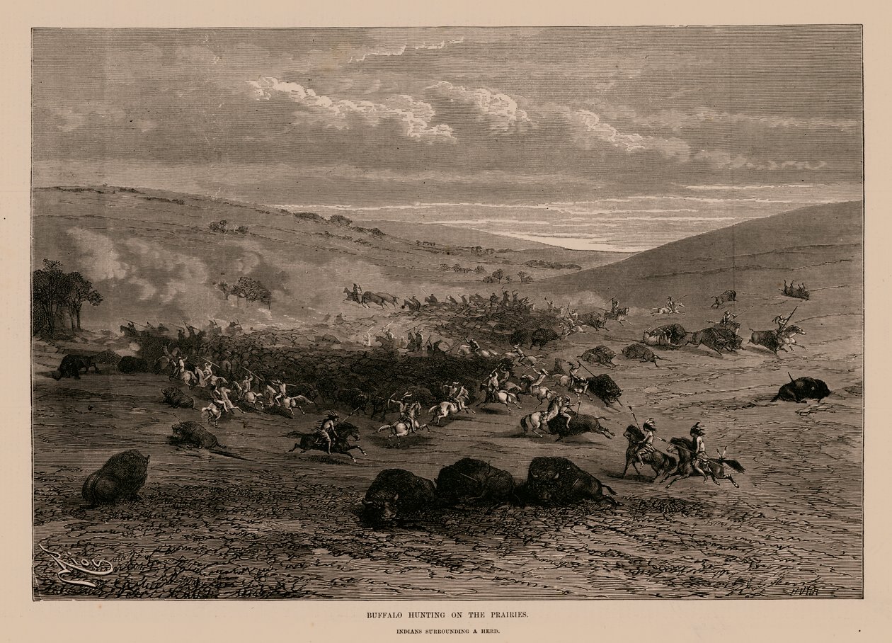 Büffeljagd auf den Prärien (Gravur) von English School