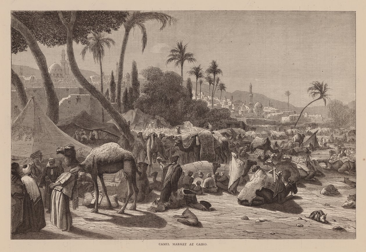 Kamelmarkt in Kairo von English School