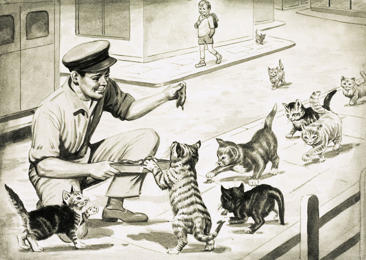 Katzen kommen, um den Katzenfleischmann zu begrüßen von English School