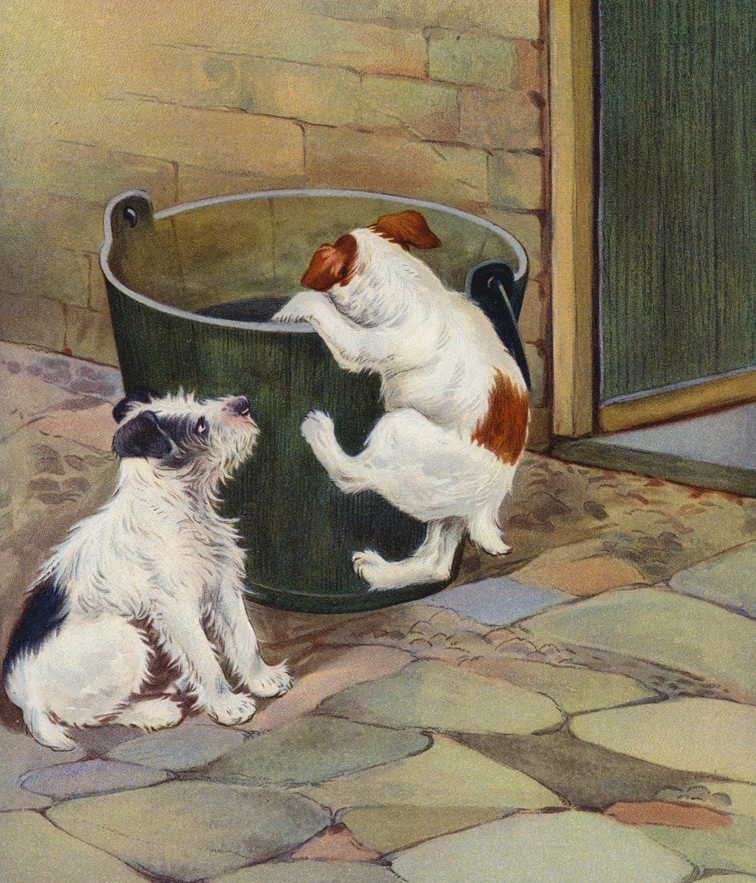 Neugier von English School