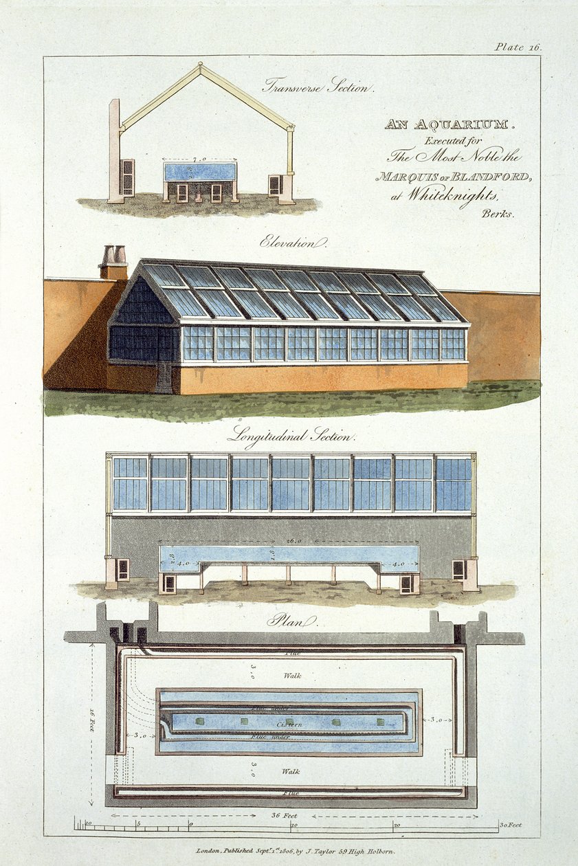 Entwurf für ein Aquarium, ausgeführt für den Marquis von Blandford in Whiteknights, 1806 von English School