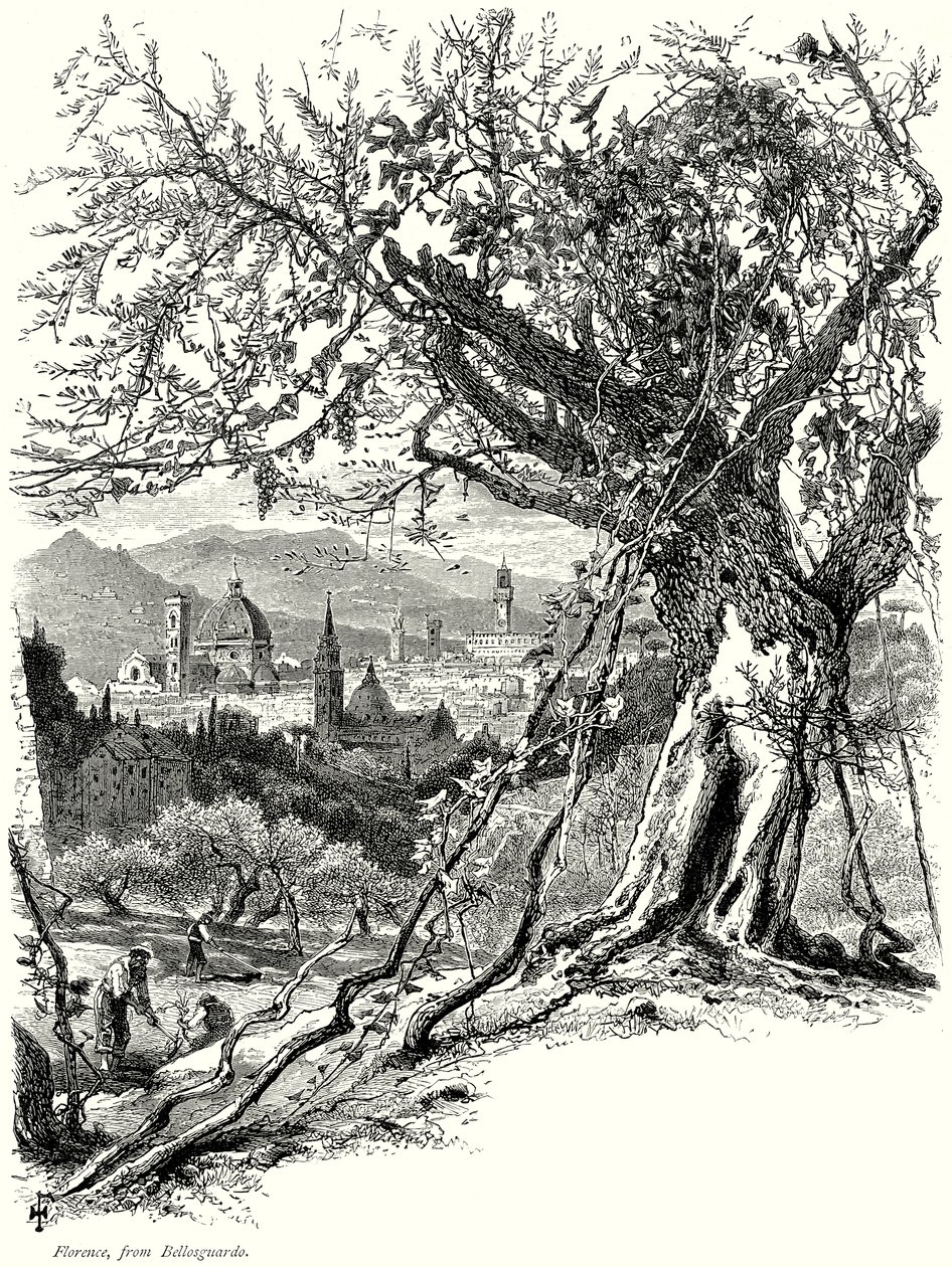 Florenz, von Bellosguardo (Gravur) von English School