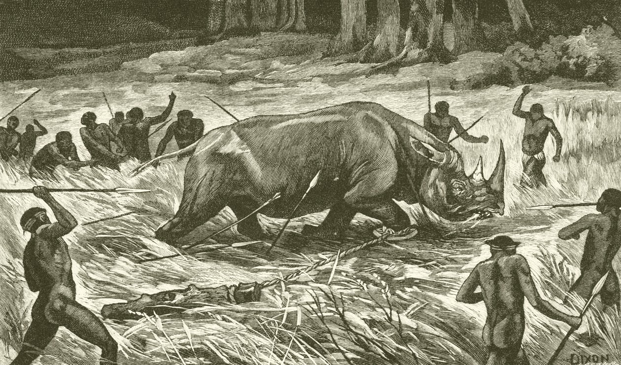 Dem gefesselten Nashorn folgen (Gravur) von English School