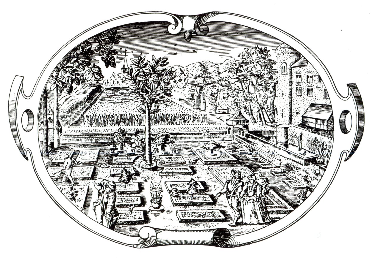 Frontispiz, aus The Herball, von John Gerard (1545-1607), veröffentlicht 1597 von English School