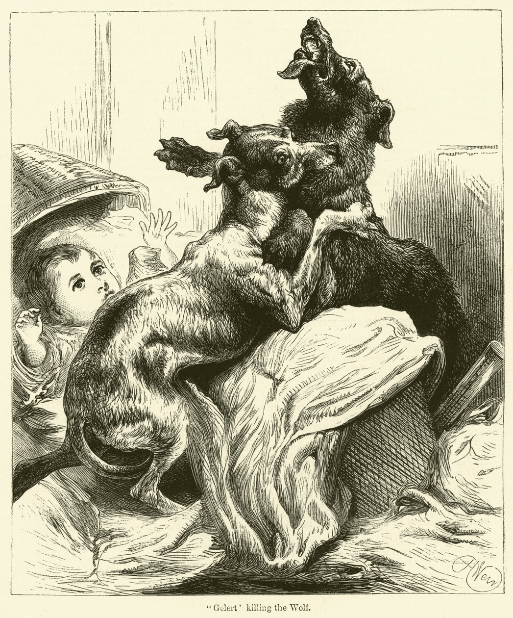 Gelert tötet den Wolf von English School