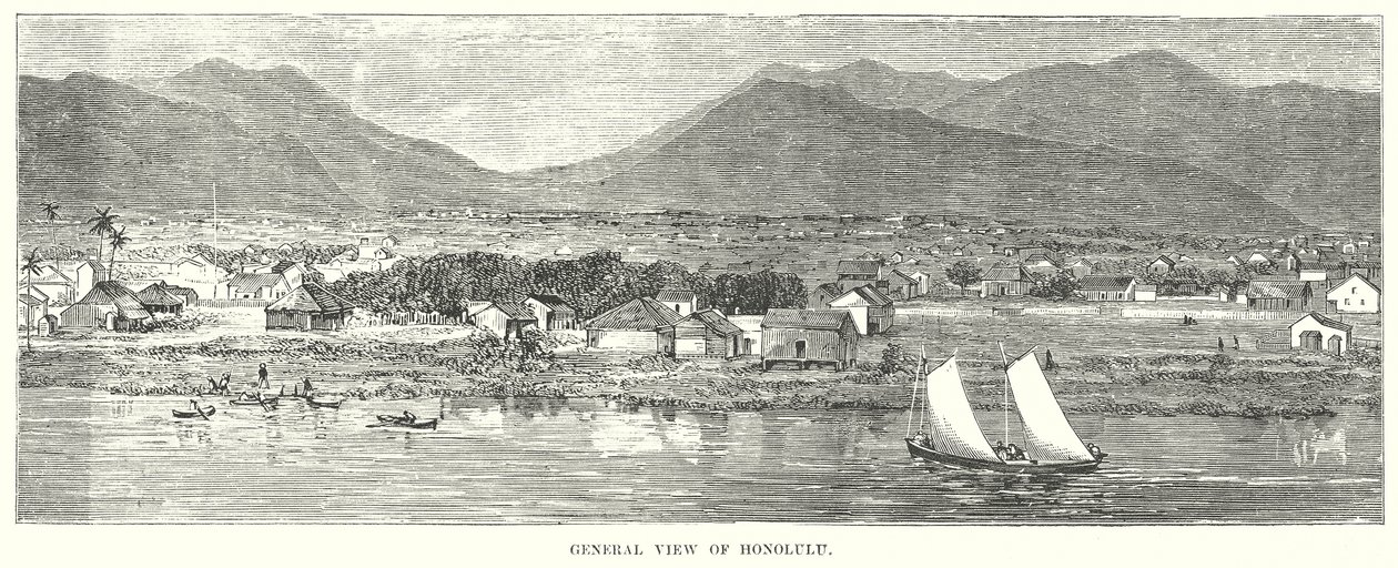 Gesamtansicht von Honolulu von English School