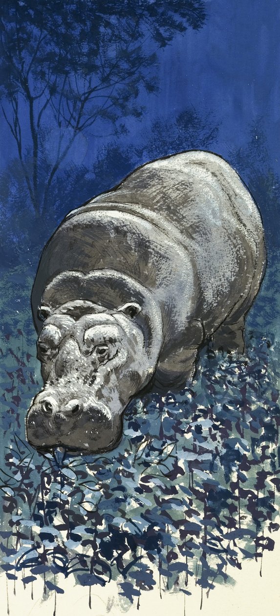 Nilpferd von English School