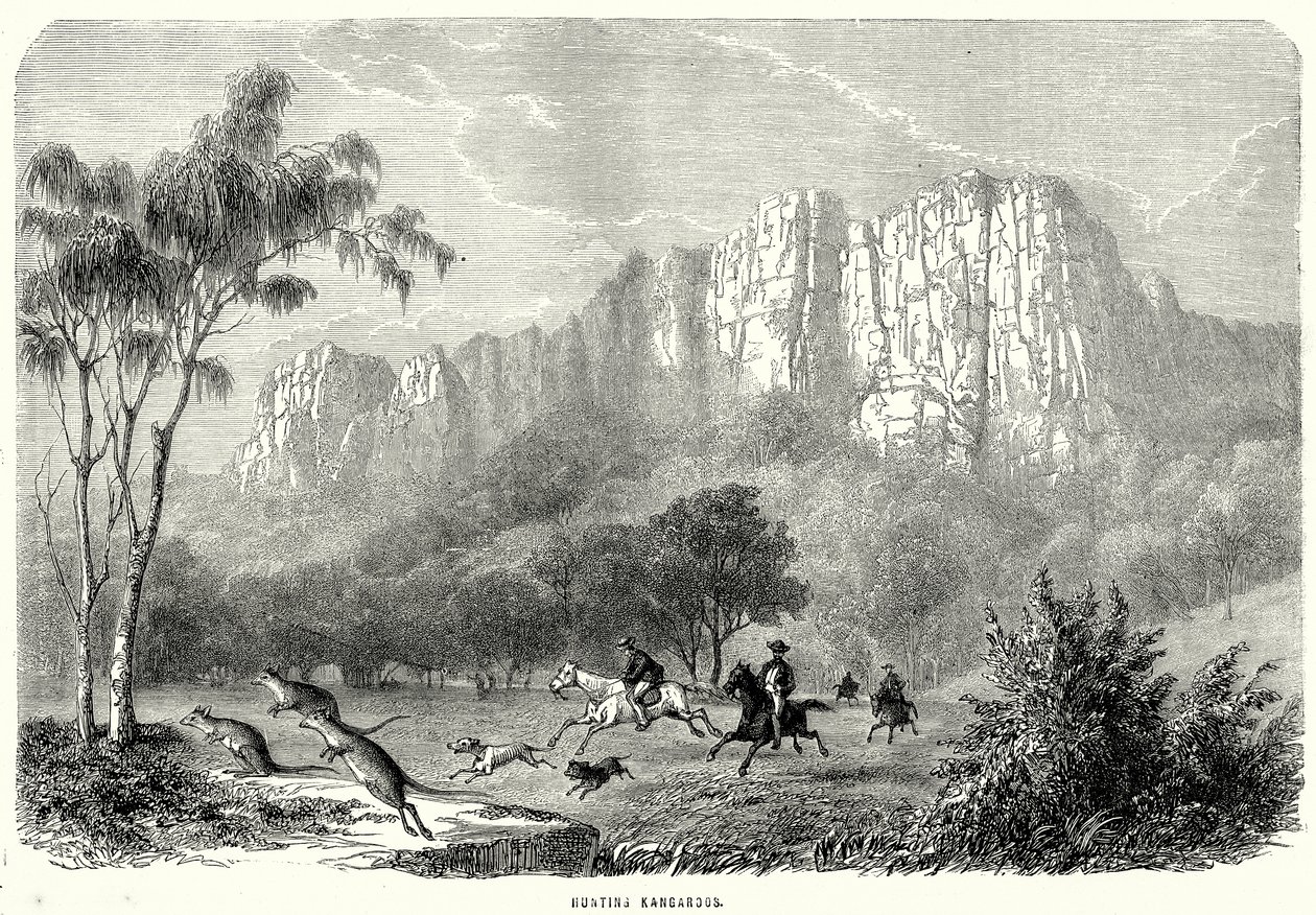 Kängurujagd von English School