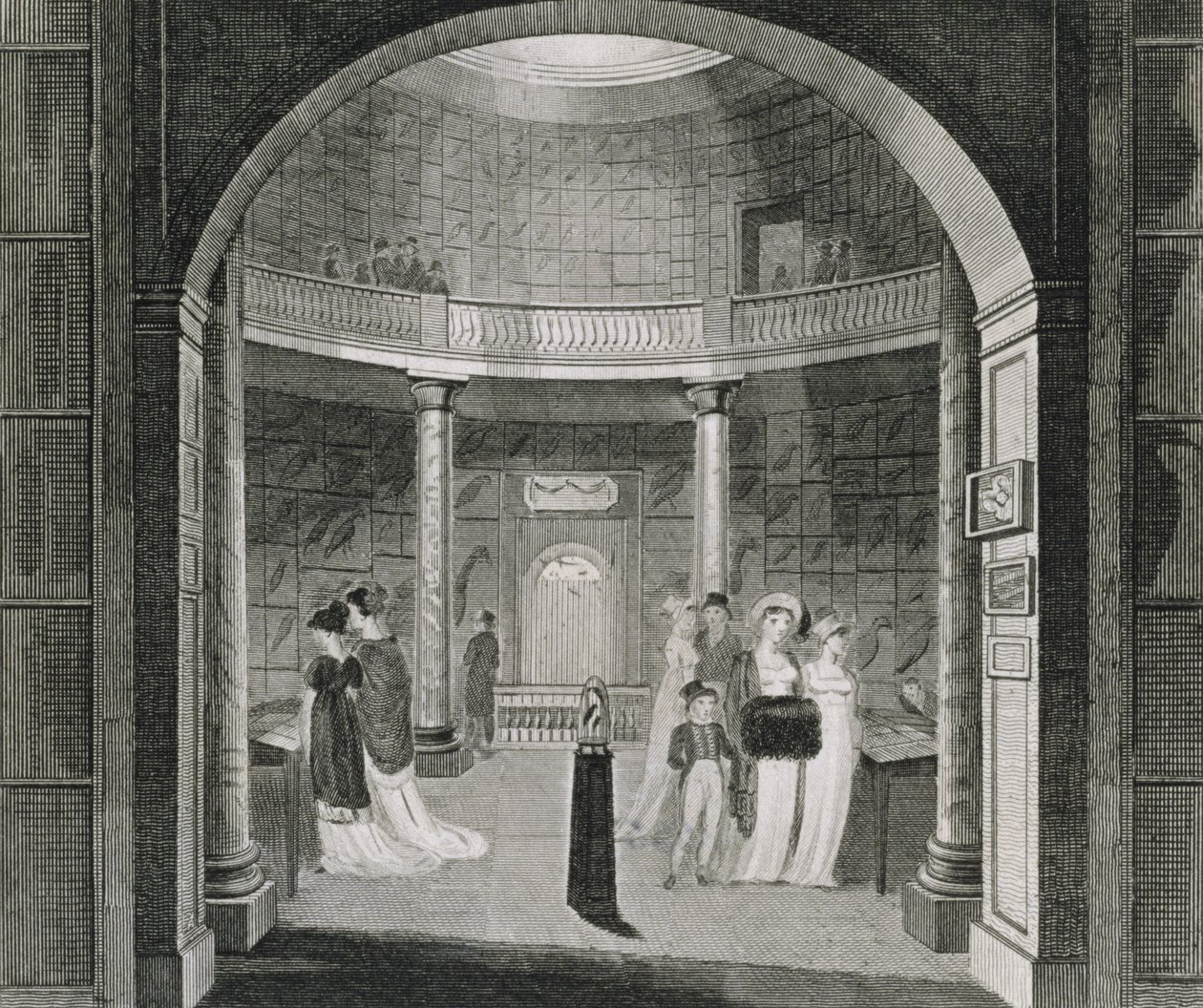 Innenansicht des Leverian Museums, 1806 von English School