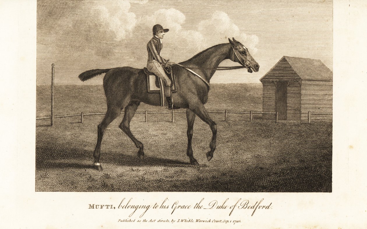 Jockey auf dem berühmten Vollblut-Rennpferd Mufti, im Besitz seiner Gnaden, des Herzogs von Bedford von English School