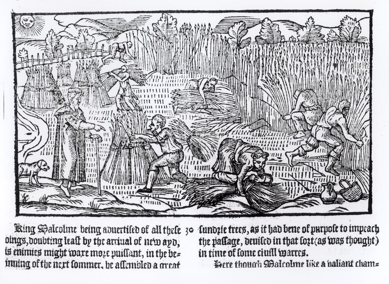 König Malcolm von Schottland beobachtet landwirtschaftliche Arbeit, 1586 von English School