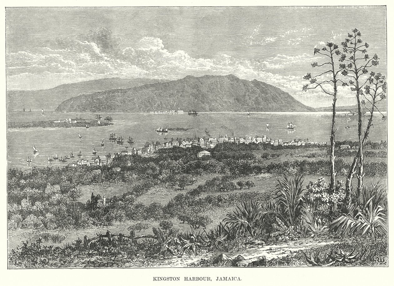 Kingston Hafen, Jamaika von English School