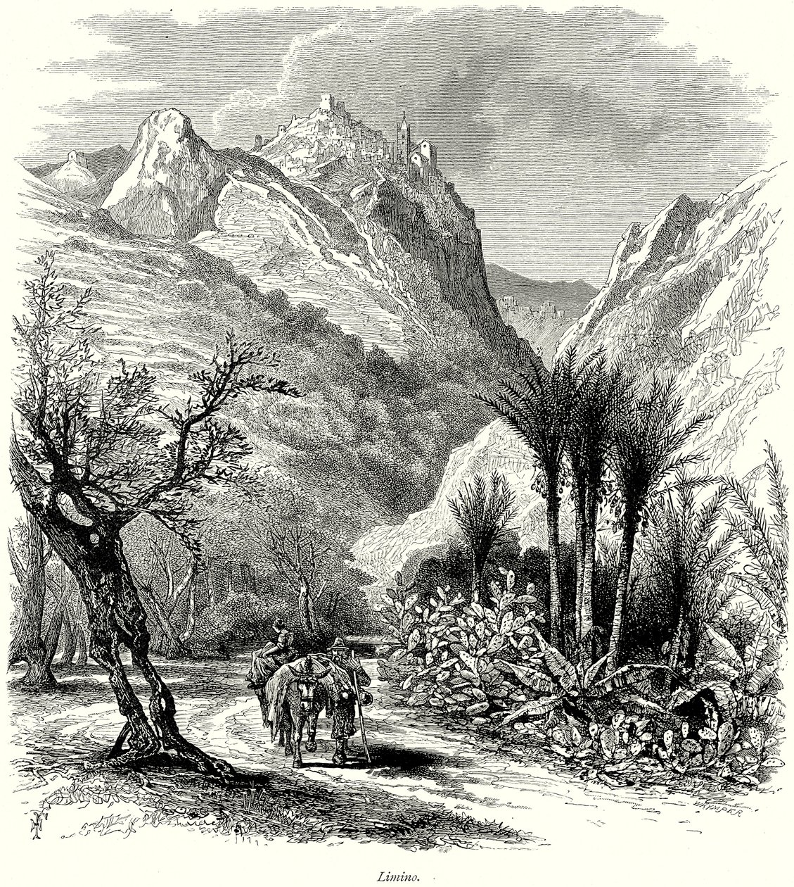 Limino von English School