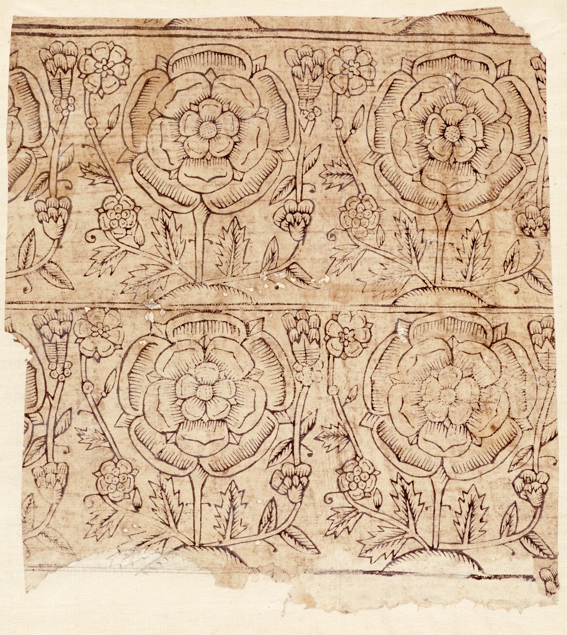 Auskleidungspapier mit Tudor-Rosenmuster, um 1550 (Holzschnitt) von English School