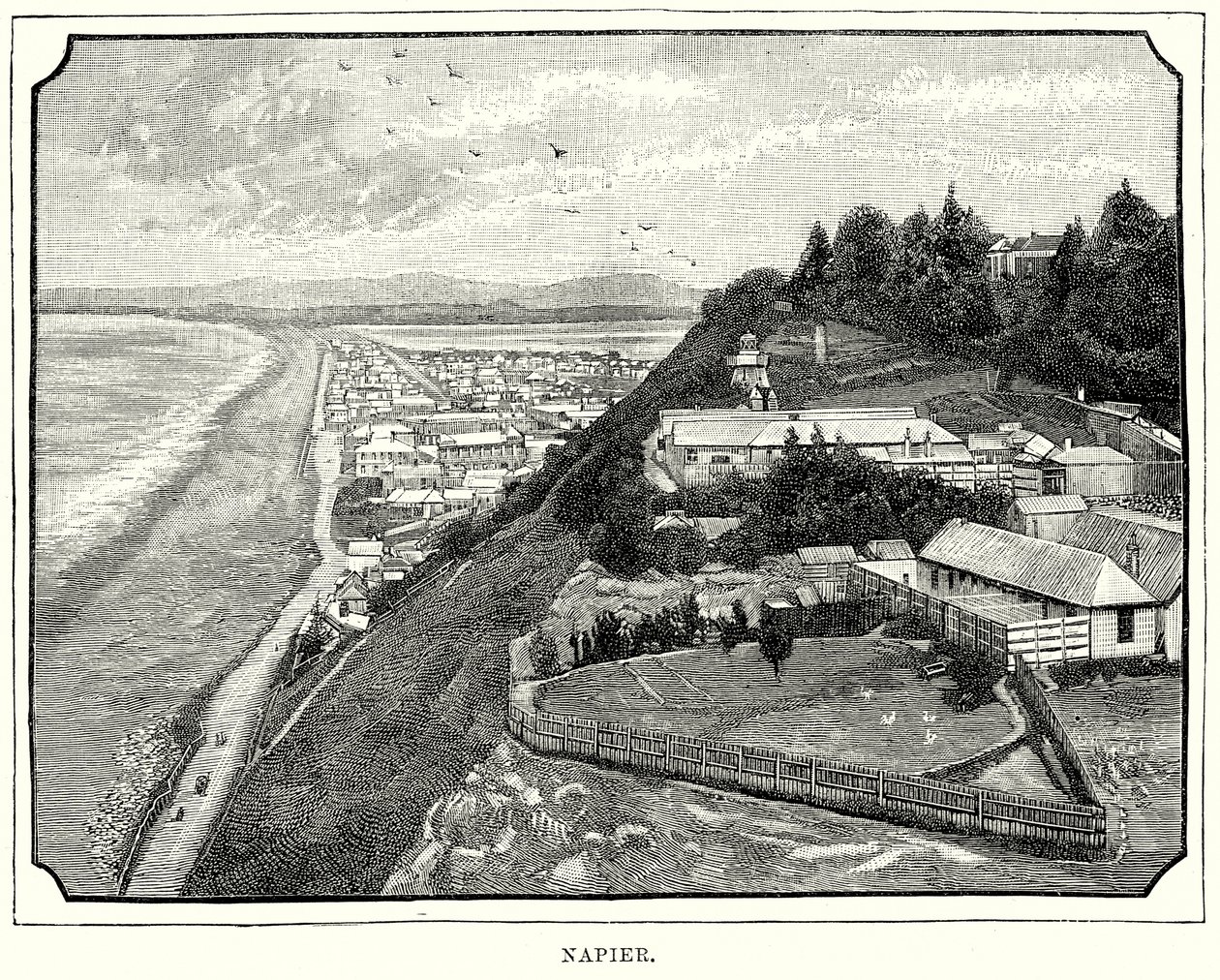 Napier von English School