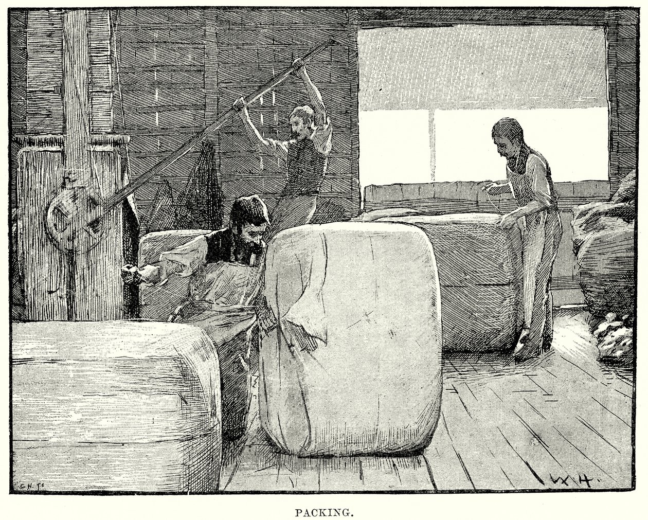 Verpackung von English School