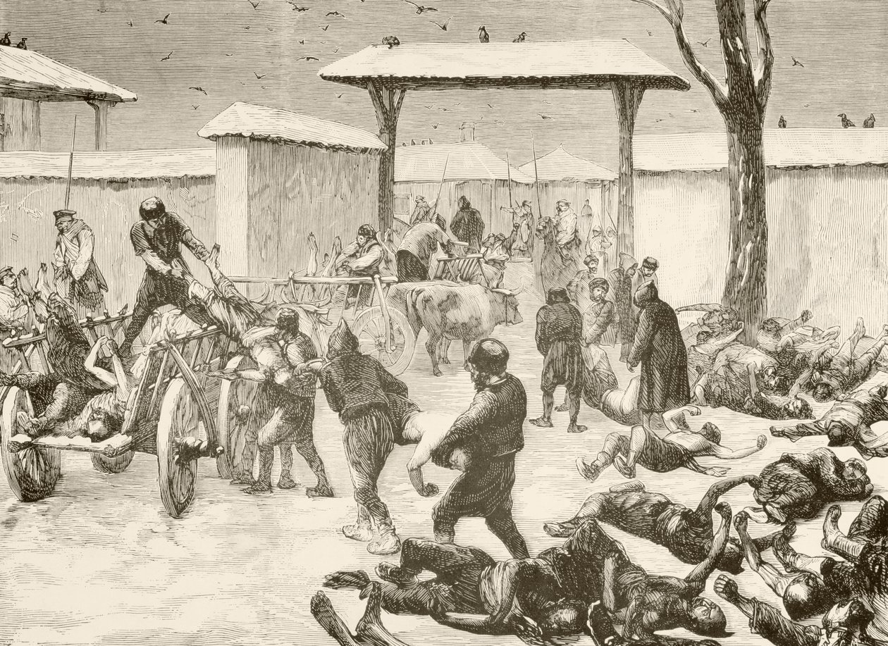 Bergung der Toten nach der Belagerung von Plewna, Bulgarien 1877 von English School