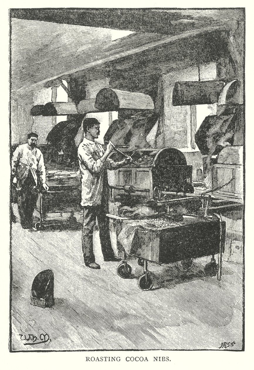 Röstung von Kakaonibs von English School