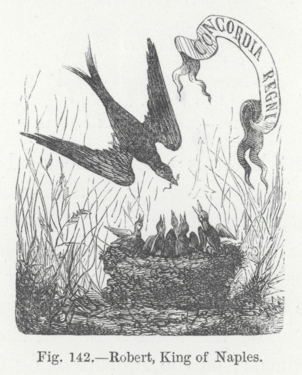 Robert, König von Neapel (Gravur) von English School
