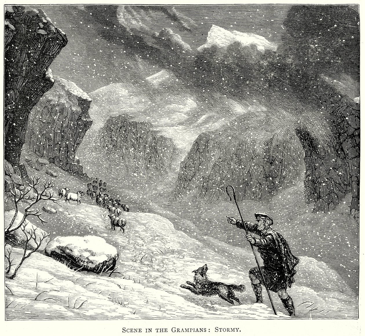 Szene in den Grampians: Stürmisch von English School
