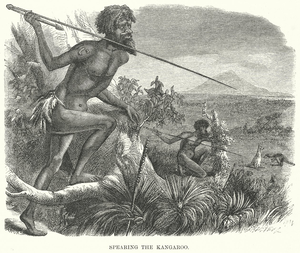 Känguru mit Speer jagen (Gravur) von English School