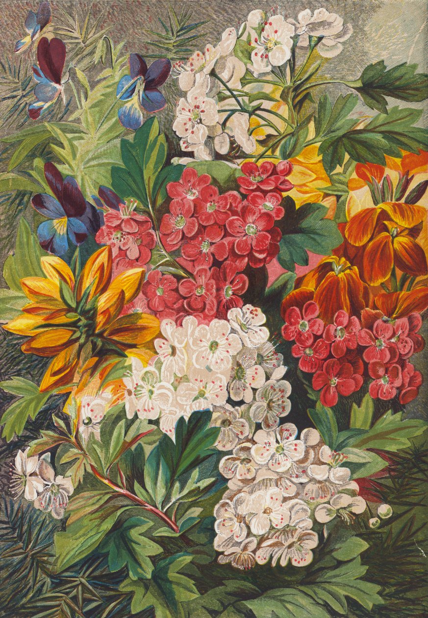Frühlingsblumen von English School
