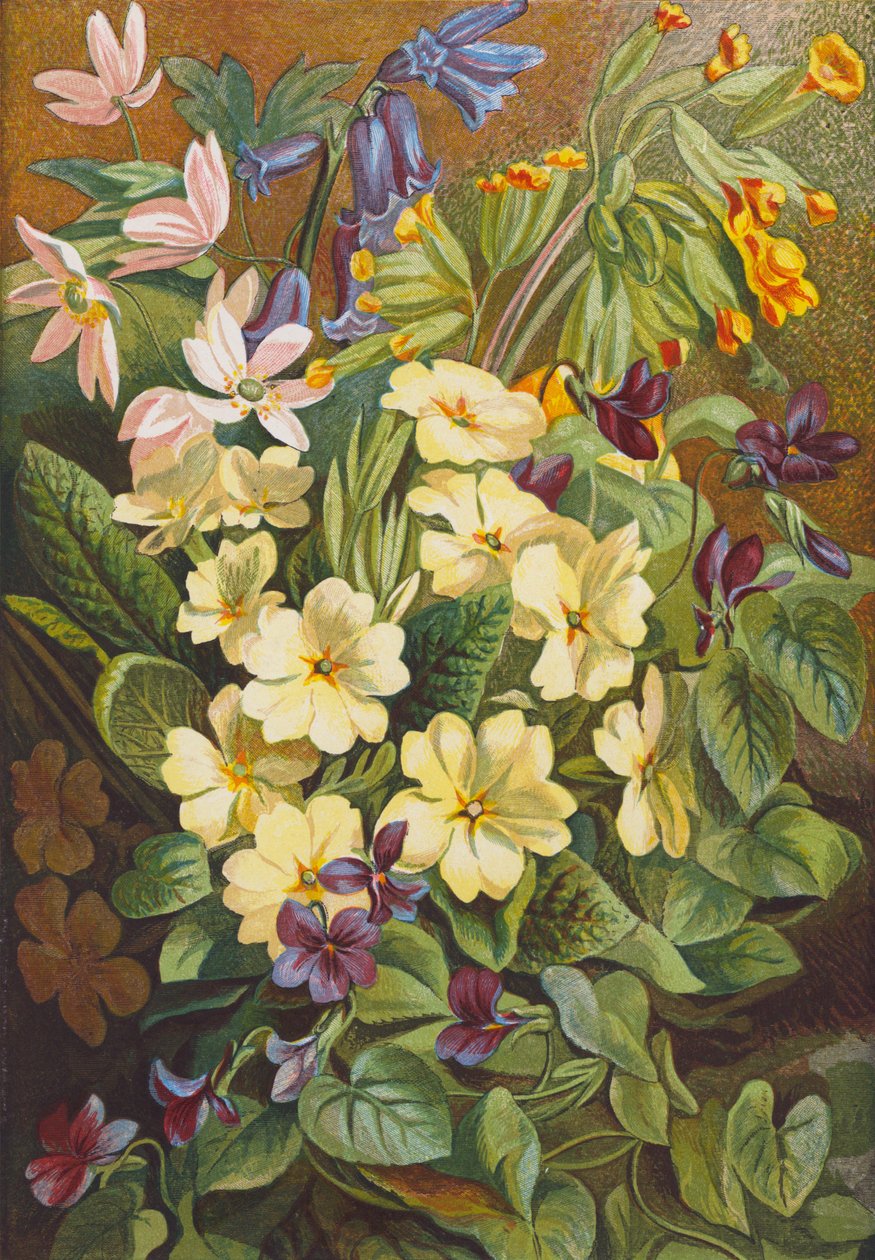 Frühlingsblumen von English School